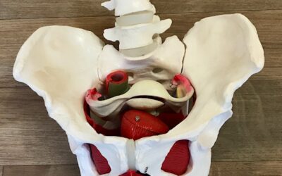 Pelvic health