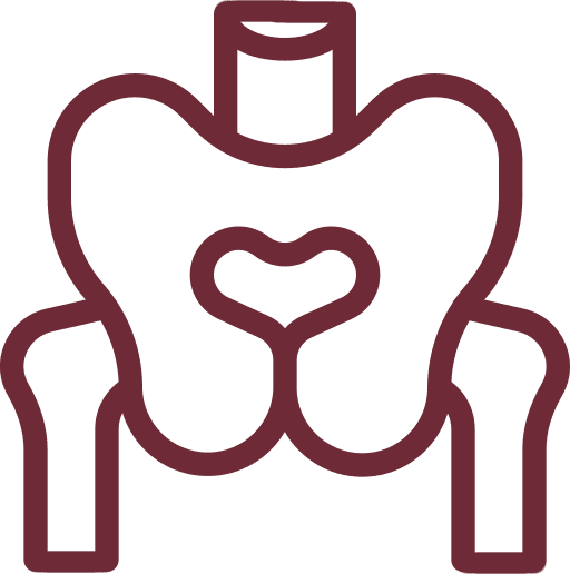 pelvis1